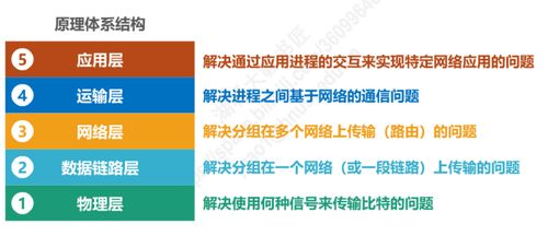 計算機(jī)網(wǎng)絡(luò)第一章概述小結(jié)與計算機(jī)系統(tǒng)服務(wù)