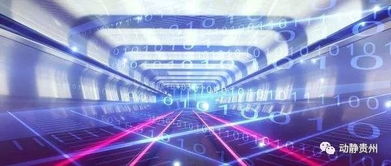 貴州獲批建設貴陽-貴安國際互聯網數據專用通道，互聯網數據服務迎來新機遇